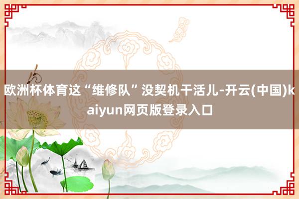 欧洲杯体育这“维修队”没契机干活儿-开云(中国)kaiyun网页版登录入口