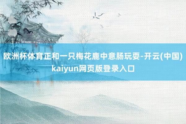 欧洲杯体育正和一只梅花鹿中意肠玩耍-开云(中国)kaiyun网页版登录入口