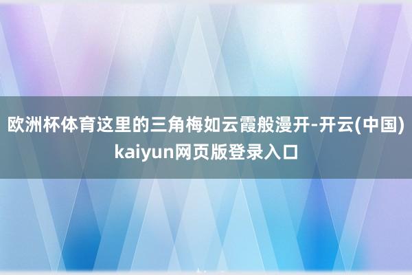 欧洲杯体育这里的三角梅如云霞般漫开-开云(中国)kaiyun网页版登录入口