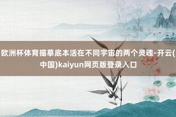 欧洲杯体育描摹底本活在不同宇宙的两个灵魂-开云(中国)kaiyun网页版登录入口